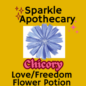 Chicory Flower Potion