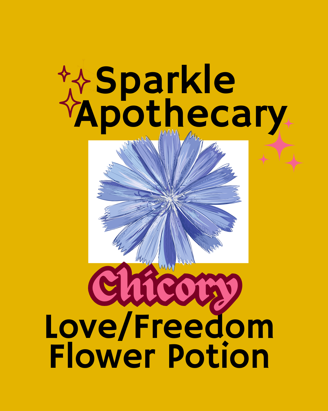 Chicory Flower Potion
