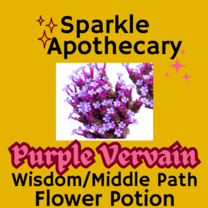 Purpletop Vervain Flower Potion