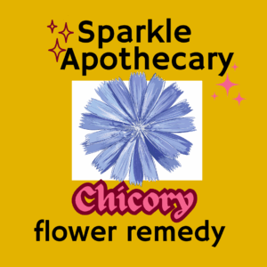 Chicory Flower Remedy