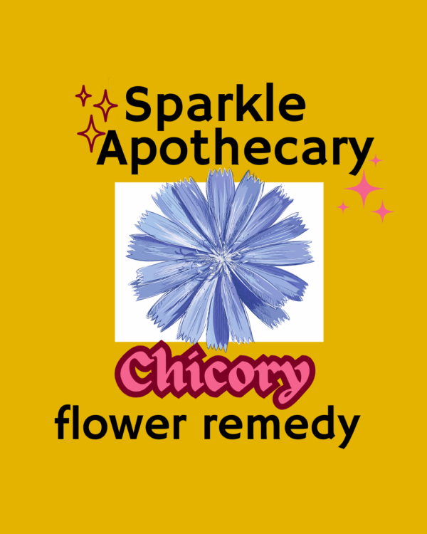 Chicory Flower Remedy