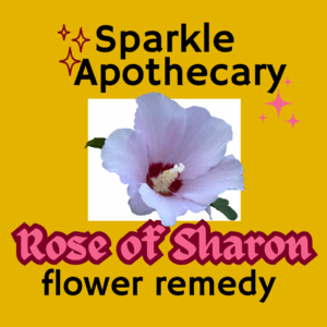 Rose of Sharon Flower Remedy