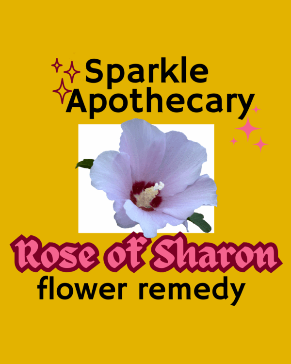 Rose of Sharon Flower Remedy