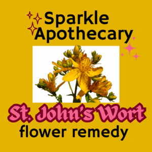 St. Johns Wort Flower Remedy