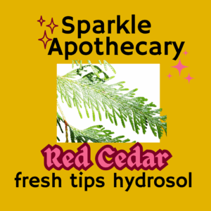 Western Red Cedar Tips Hydrosol