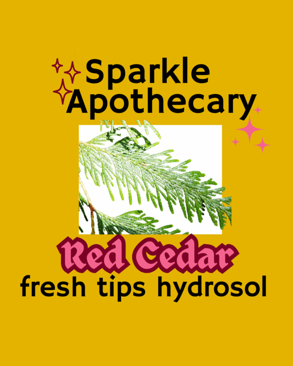 Western Red Cedar Tips Hydrosol