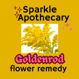 Goldenrod Flower Remedy