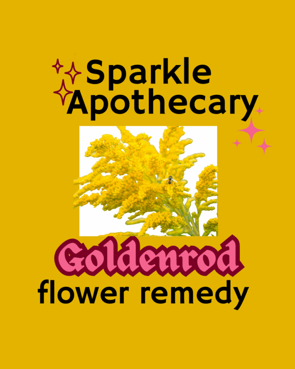 Goldenrod Flower Remedy