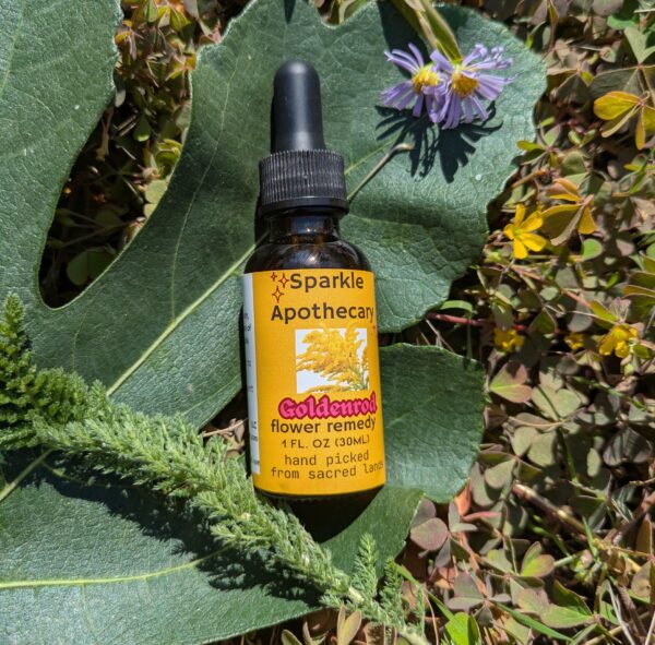 Goldenrod Flower Remedy - Image 2