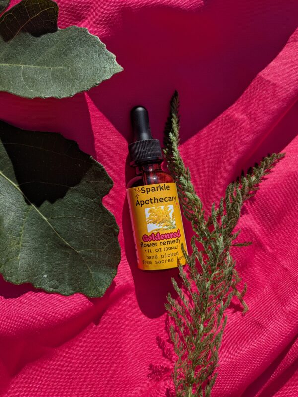 Goldenrod Flower Remedy - Image 3