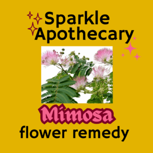 Mimosa Flower Remedy