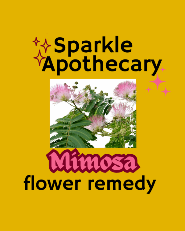 Mimosa Flower Remedy