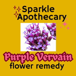 Purpletop Vervain Flower Remedy