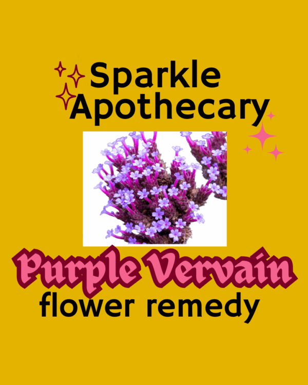 Purpletop Vervain Flower Remedy
