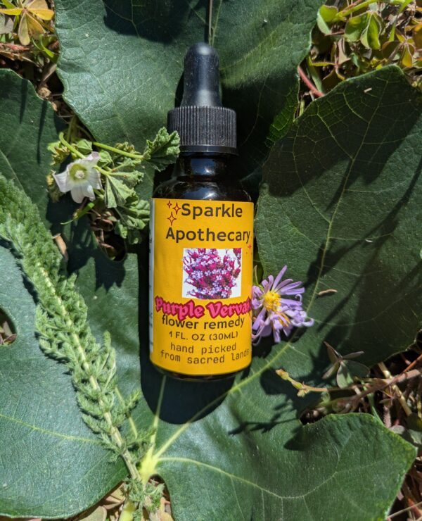 Purpletop Vervain Flower Remedy - Image 2
