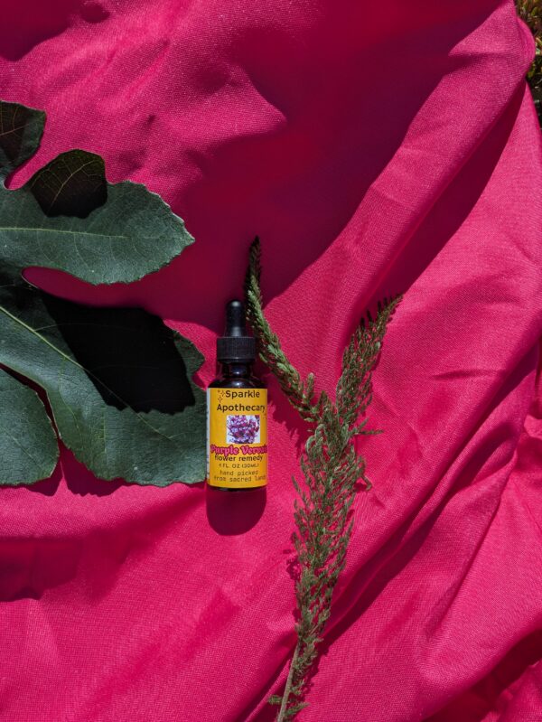 Purpletop Vervain Flower Remedy - Image 3