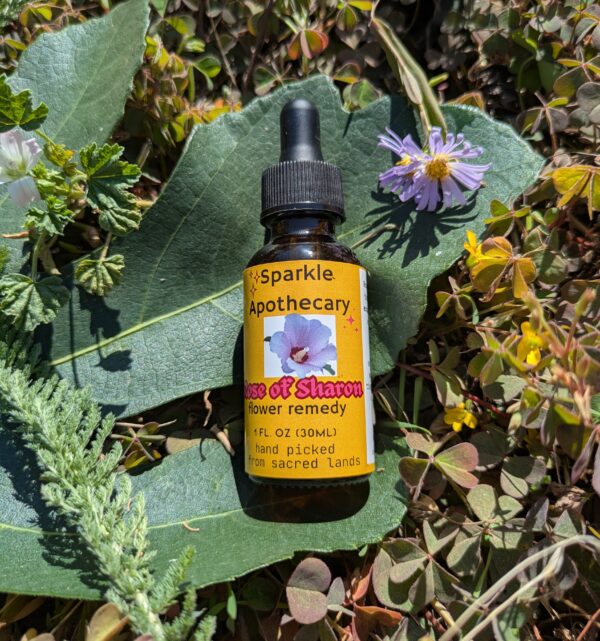 Rose of Sharon Flower Remedy - Image 2
