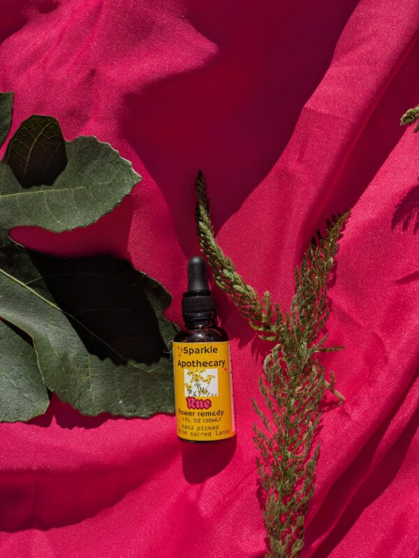 Rue Flower Remedy - Image 3