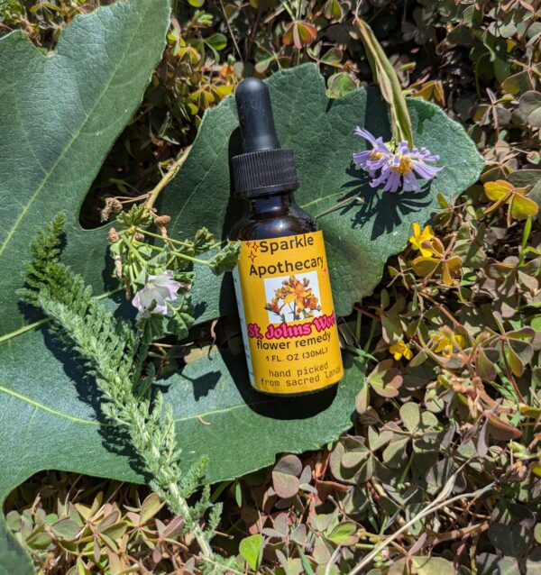 St. Johns Wort Flower Remedy - Image 2