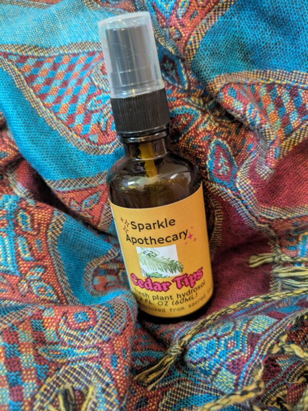 Western Red Cedar Tips Hydrosol - Image 2