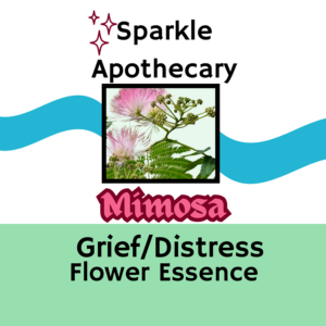 Mimosa Flower Essence