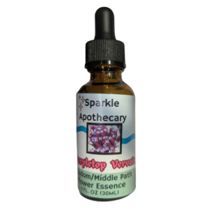 Purpletop Vervain: Wisdom/Middle Path