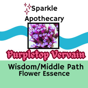 Purpletop Vervain Flower Essence