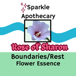 Rose of Sharon Flower Essence