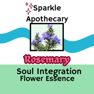 Rosemary Flower Essence