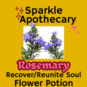 Rosemary Flower Potion