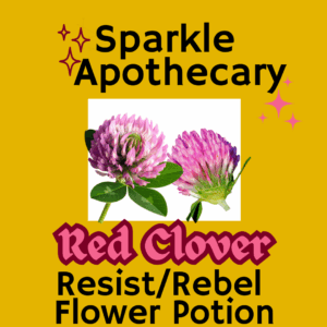Red Clover Flower Potion